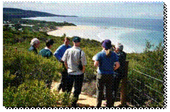 anglesea group